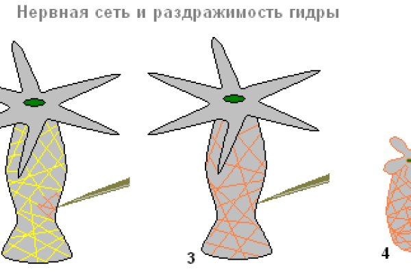 Kraken ссылка зеркало рабочее